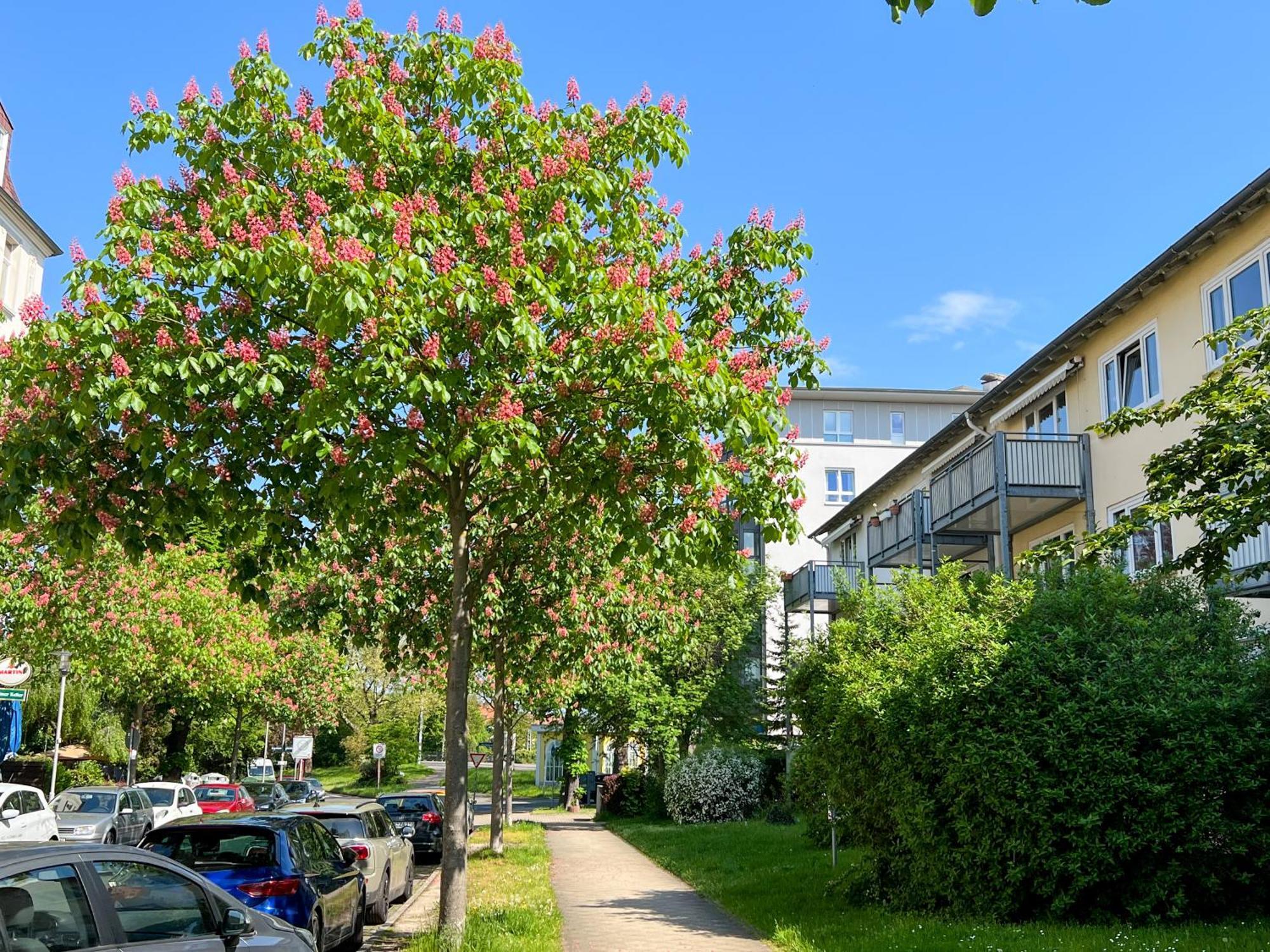 New-York Appartment, 2 Zimmer, Zentral Naehe Bahnhof Wilhelmshoehe Kassel Exterior photo